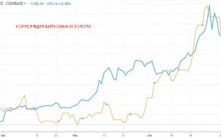 Есть ли шанс у криптомедведей?