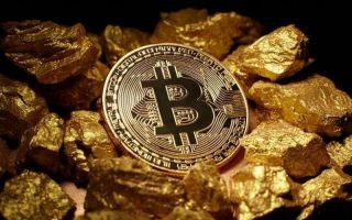 В биткоин следует вкладывать: ведь он обеспечивает сверхприбыль