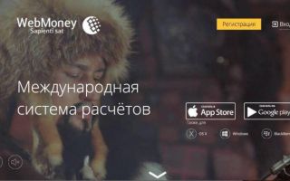 Кошелек WMX от Вебмани: как хранить, переводить и обменивать Биткоин