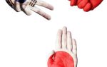 Китайская модель регулирования vs Японская модель