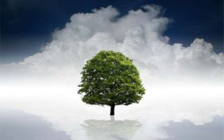 Биткоин наконец-то вырос: в чём подвох