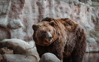 Риски покупки Биткоина на текущем уровне