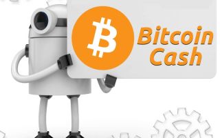 Новости о Bitcoin Cash: стремительный рост и увеличение популярности