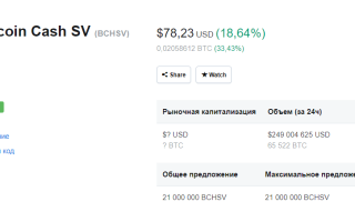 Может ли SV форк Кэша Биткоин стать новой звездой?