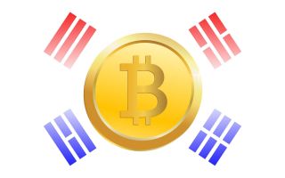 Динамика роста стоимости на корейском рынке битка