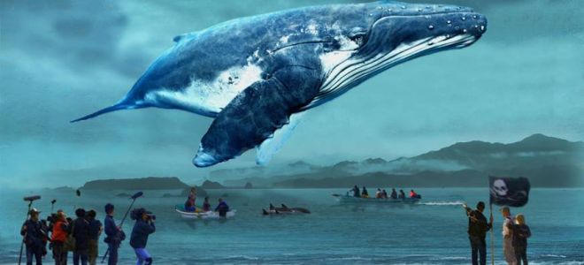 Временная передышка или начало роста криптовалют: прогнозы на 2018 год
