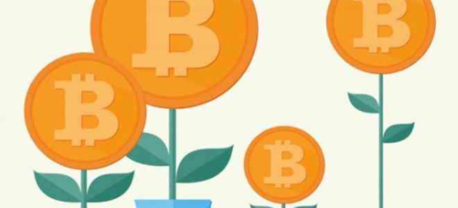 Рынок Биткоина на начало весны 2019